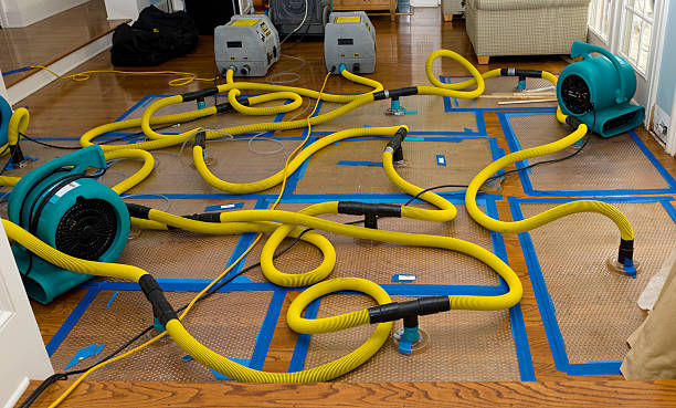 Professional Basement Flood Cleanup technician working in Turners Station, KY